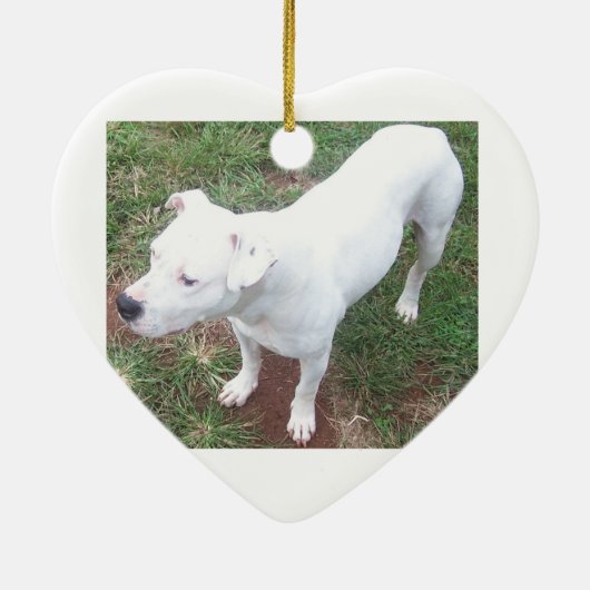 In Memory of the Anthony & Jayney Watson Ornament (Achterkant)