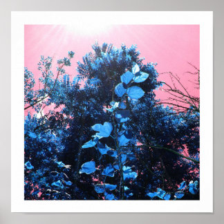 In mijn blues poster