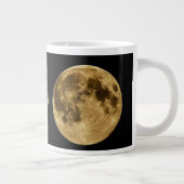 "In mijn verdediging, de maan was vol en ik was... Grote Koffiekop (Rechts)