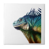 IN MOMENTEN TEGELTJE (Voorkant)