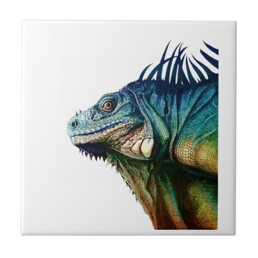 IN MOMENTEN TEGELTJE (Voorkant)