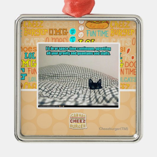 In onze Space Time Continuum Metalen Ornament (Voorkant)