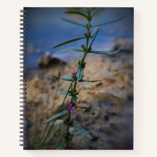 in Paarse College-Reign Notitieboek