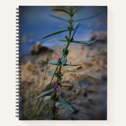  in Paarse College-Reign Notitieboek (Voorkant)