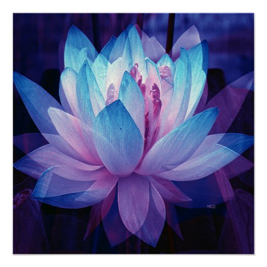 In perfecte liefde... perfect poster (Voorkant)