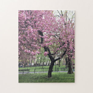 in Pink Cherry Blossom Tree NYC New York Legpuzzel