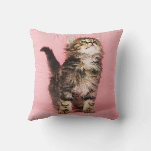 in Pink Kitten Kussen (Achterkant)