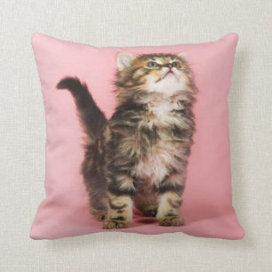 in Pink Kitten Kussen