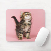 in Pink Kitten Muismat (Met muis)