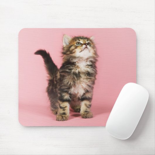  in Pink Kitten Muismat (Met muis)