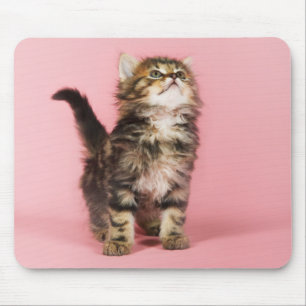 in Pink Kitten Muismat