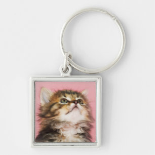 in Pink Kitten Sleutelhanger