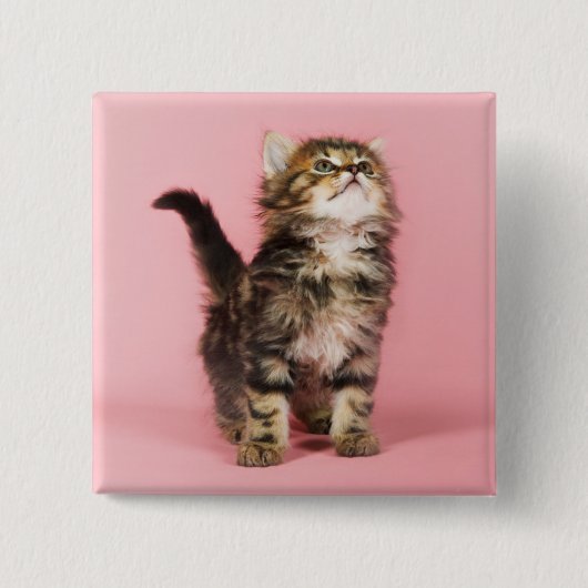 in Pink Kitten Vierkante Button 5,1 Cm (Voorkant)