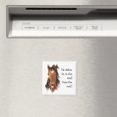 In plaats daarvan in de Humor van de Stall dan de  Magneet (Insitu (Vaatwasser))