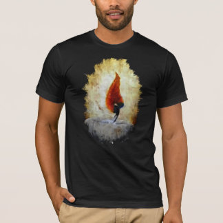 In plaats van de duisternis te vervloeken, steek e t-shirt
