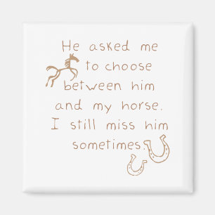 In plaats van het paard te houden magneet