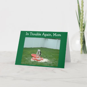 IN PROBLEMEN MAMA ***MOEDERDAG** KAART