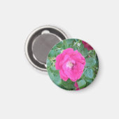 in roze bloem magneet (Voorkant / Achterkant)