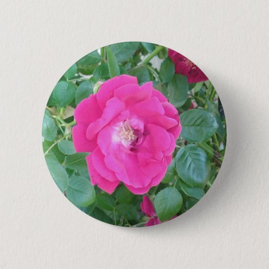  in roze bloem ronde button 5,7 cm (Voorkant)