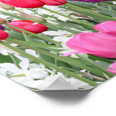 in roze bloemblaadjes poster (Hoek)