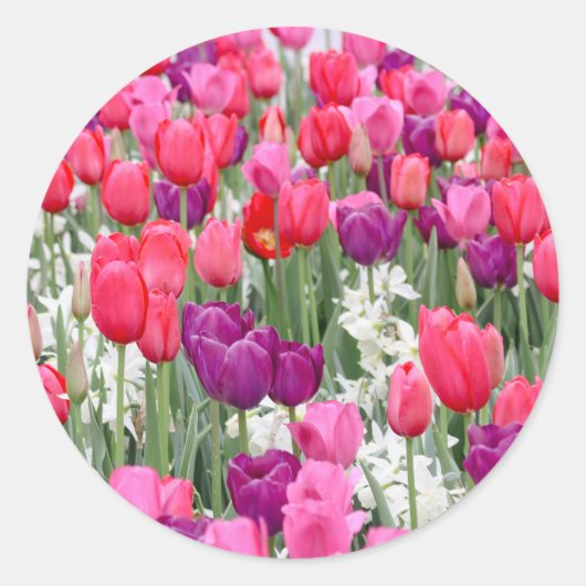 in roze bloemblaadjes ronde sticker (Voorkant)