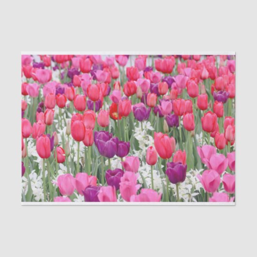 in roze bloemblaadjes tissuepapier (Voorkant)
