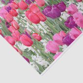 in roze bloemblaadjes tissuepapier (Detail)