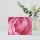  in roze briefkaart (Staand voorkant)