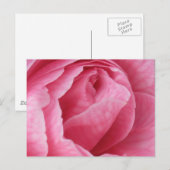  in roze briefkaart (Voorkant / Achterkant)