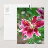  in roze briefkaart (Voorkant / Achterkant)