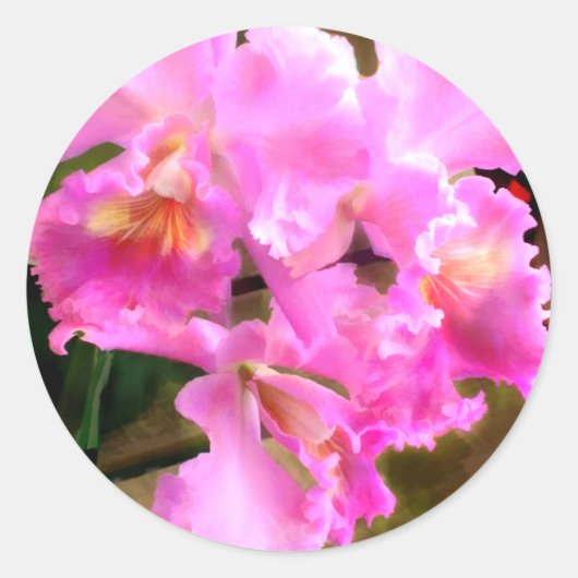 in Roze Cattleya Orchids Ronde Sticker (Voorkant)