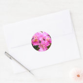 in Roze Cattleya Orchids Ronde Sticker (Envelop)