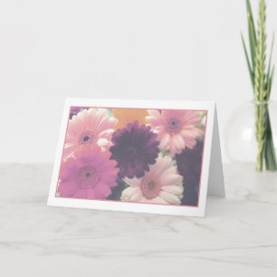  in Roze Daisy Flower Photo Wenskaart Kaart