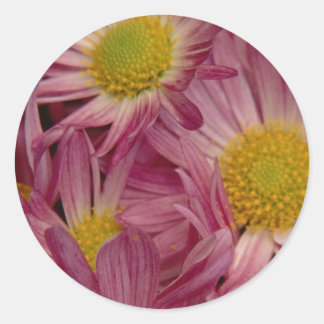 in roze: envelopzegels ronde sticker