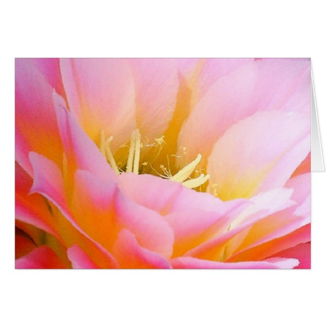  in roze floraal (Voorkant Horizontaal)