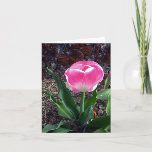  in Roze..... Kaart (Voorkant)