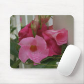 In roze M_70 Mousepad Muismat (Met muis)