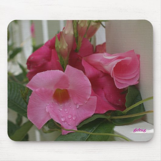 In roze M_70 Mousepad Muismat (Voorkant)