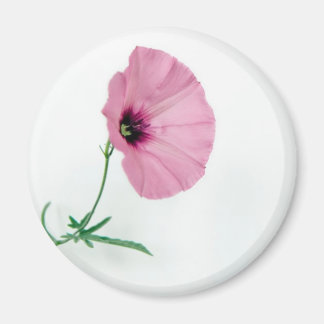  in roze magneet