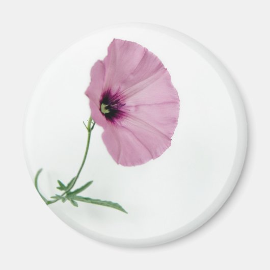  in roze magneet (Voorkant)