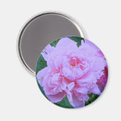 " in roze" magneet (Voorkant / Achterkant)
