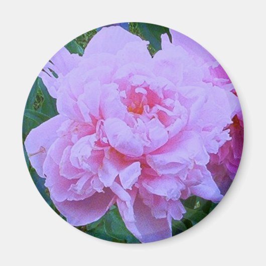 " in roze" magneet (Voorkant)