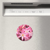 in Roze... Magneet (Insitu (Vaatwasser))