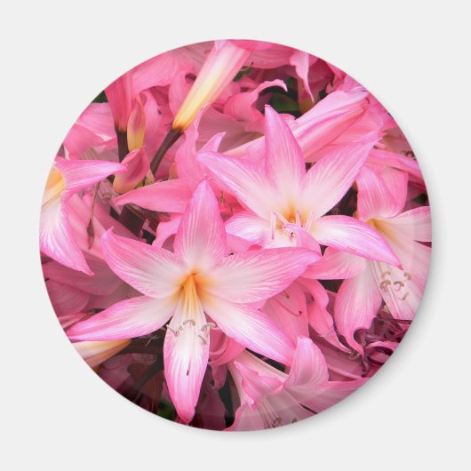 in Roze... Magneet (Voorkant)