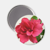 in roze - Magnet (Voorkant / Achterkant)