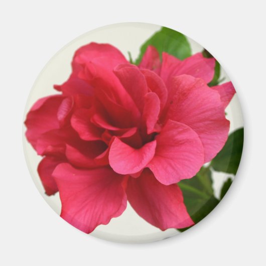 in roze - Magnet (Voorkant)