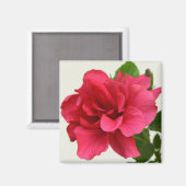  in roze - Magnet (Voorkant / Achterkant)