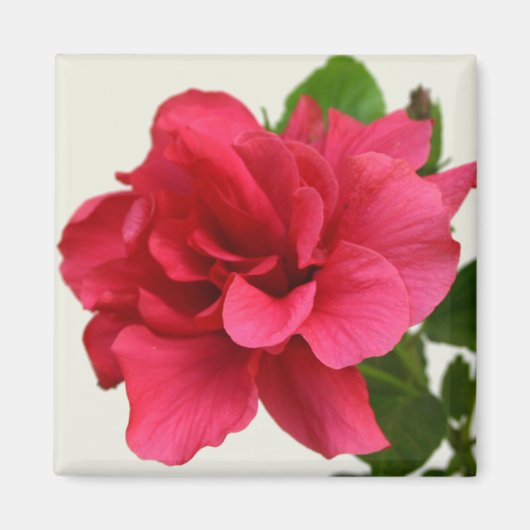  in roze - Magnet (Voorkant)