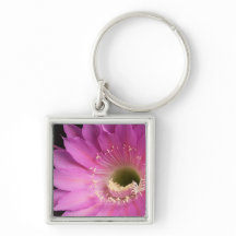 in roze Maria Piazza