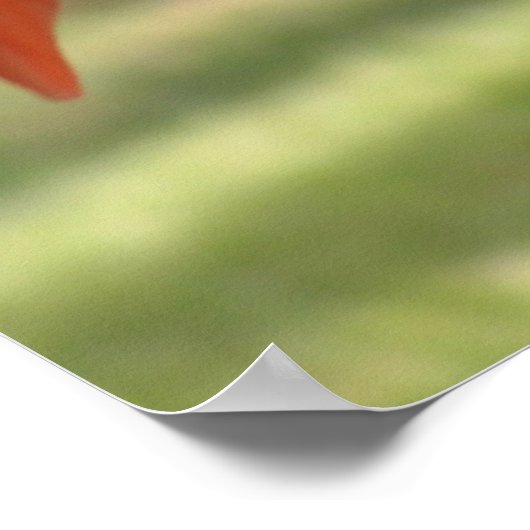  in roze poster (Hoek)